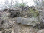 DSCN1288