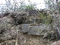 DSCN1289