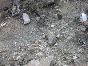 DSCN1281