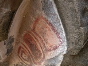 DSCN1283