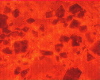 310c