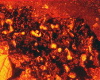 309c1b