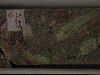 DSCN0465