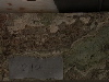 DSCN0466