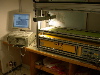 DSCN0471