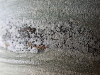 DSCN0501