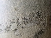 DSCN0502