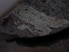 DSCN0382