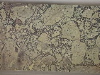 DSCN0384
