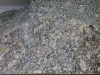 DSCN0385