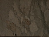 DSCN0389