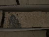 DSCN0391