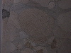 DSCN0406