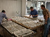 DSCN0415