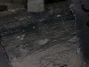 DSCN0437