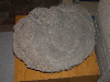 DSCN0438