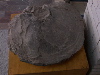 DSCN0439