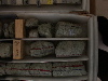 DSCN0444