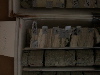 DSCN0446