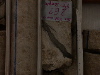 DSCN0449