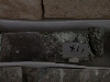 DSCN0451