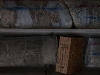 DSCN0452