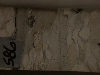 DSCN0460