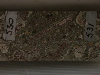DSCN0461