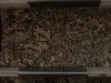 DSCN0462