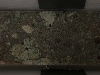 DSCN0464