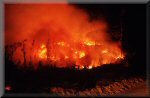 Slash and burn