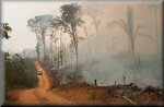 Jaru burning, Brazil